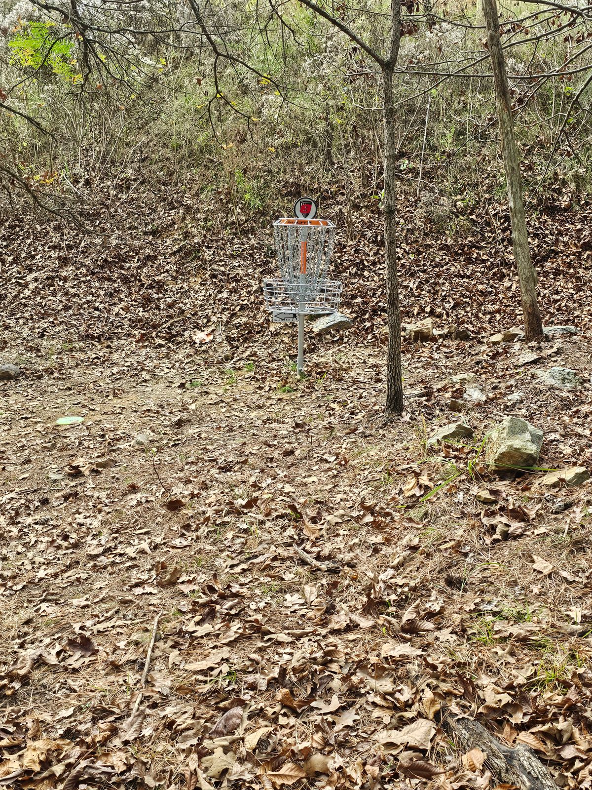 Hole 8
