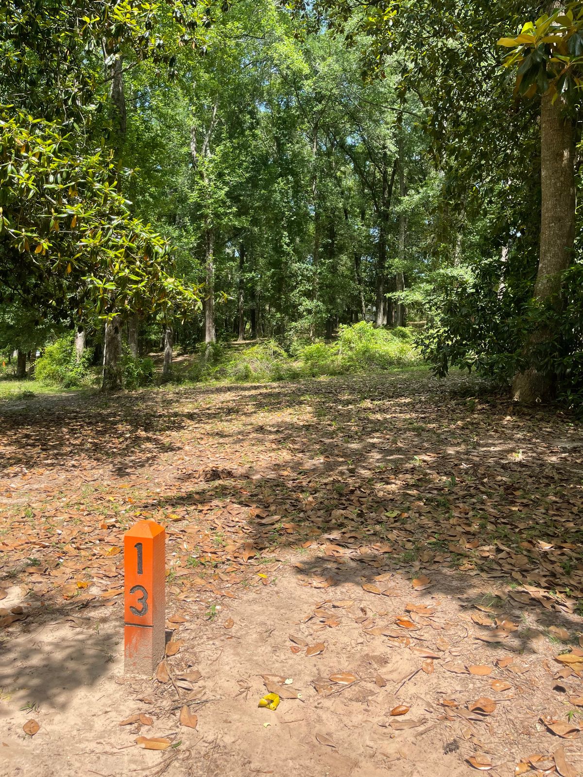 Hole 13