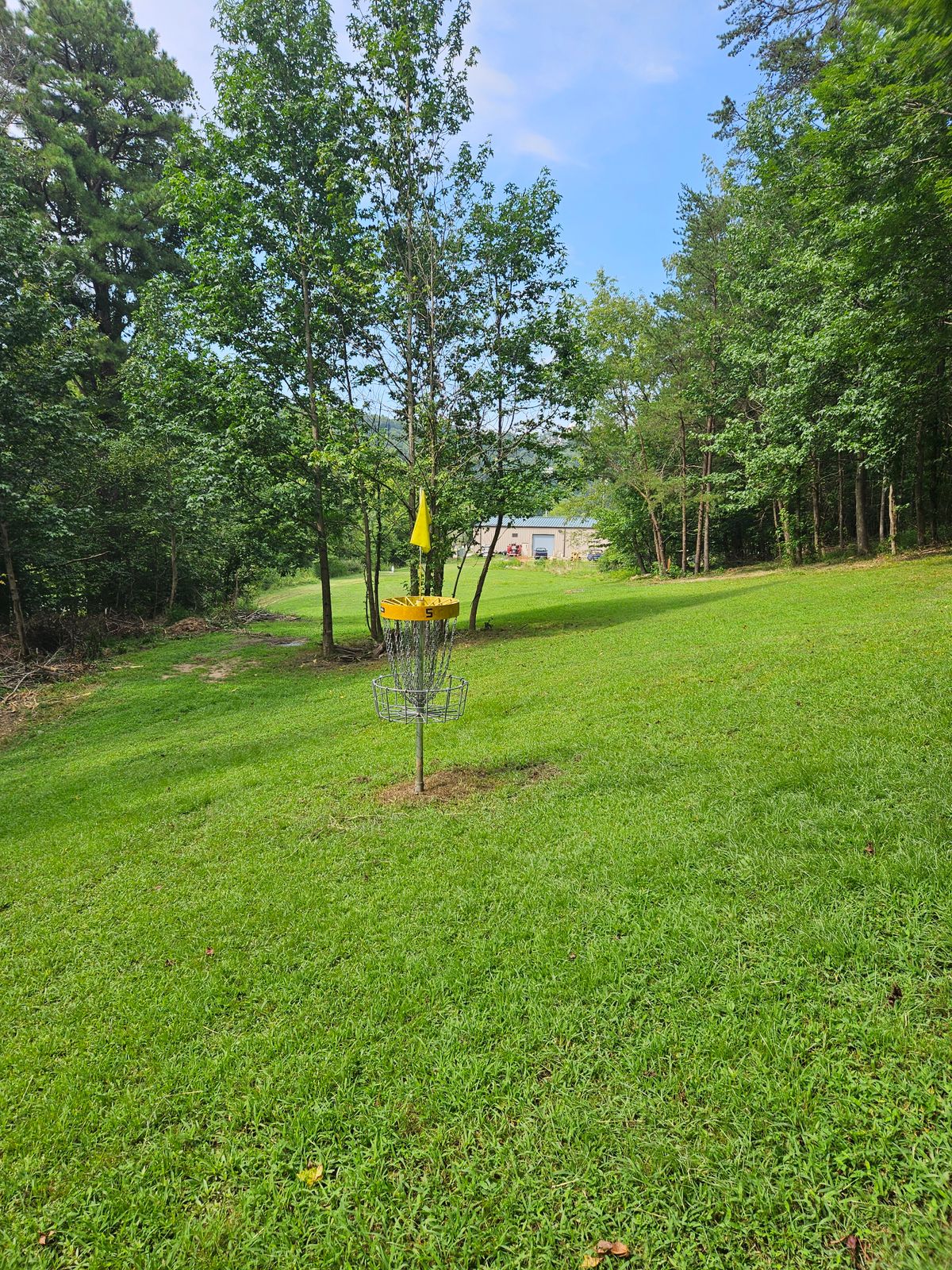 Hole 5 Short Basket. Looking towards Teepads.