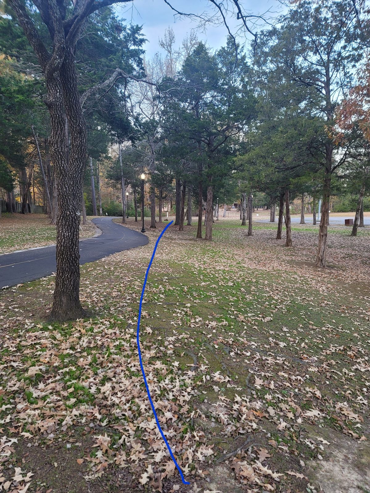 Hole 5
Long 250
