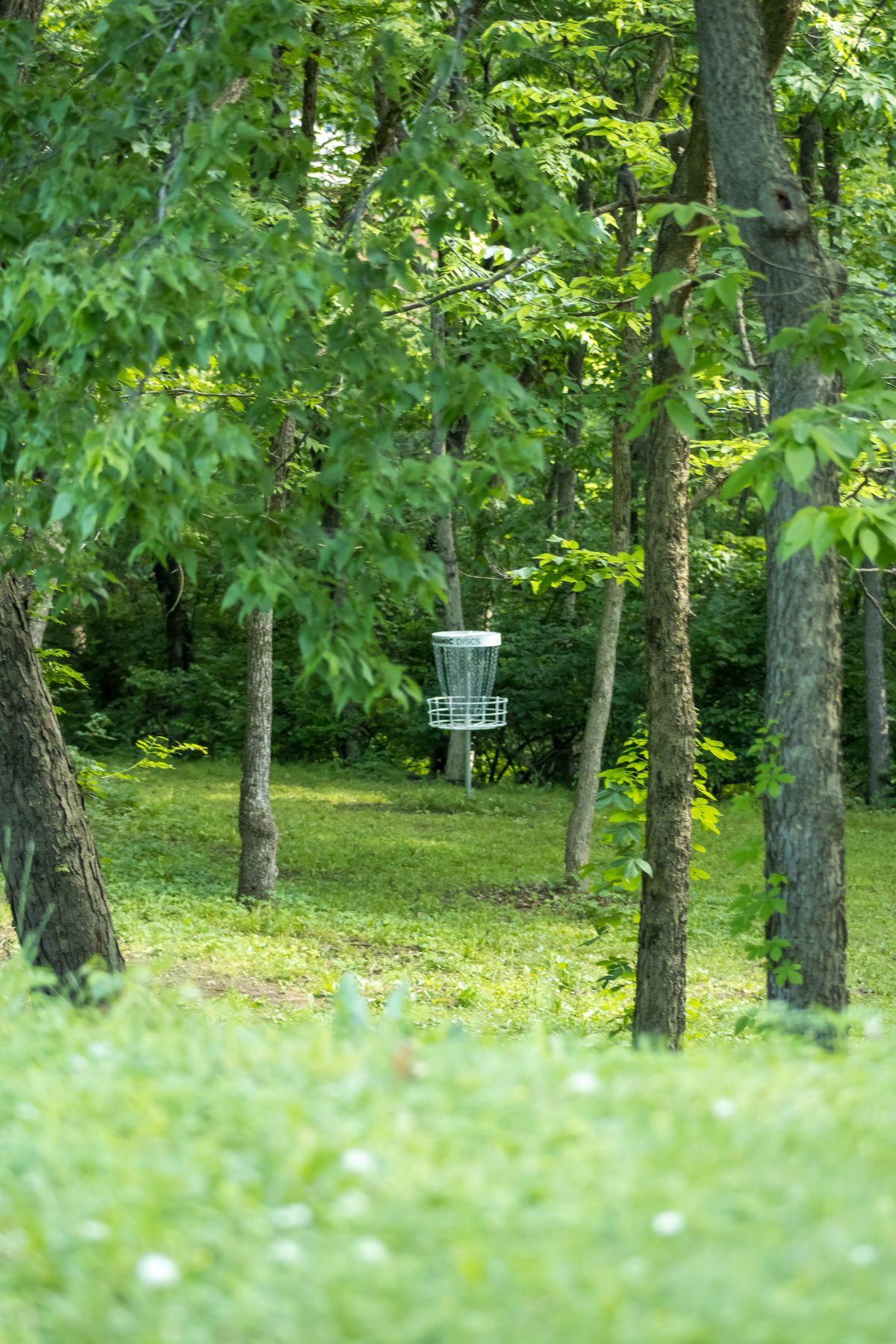 Hole 12 short