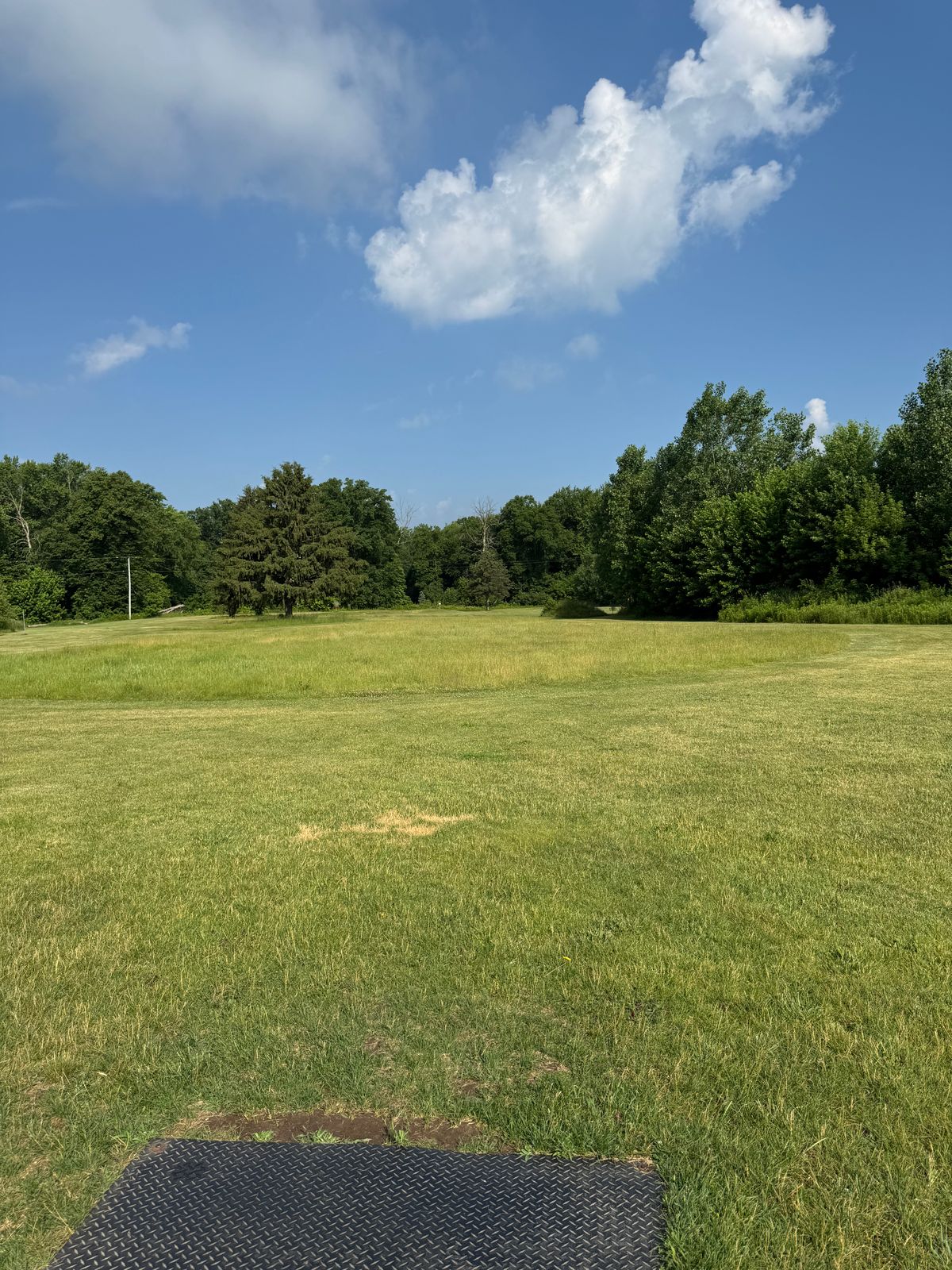 Fairway rough hazard