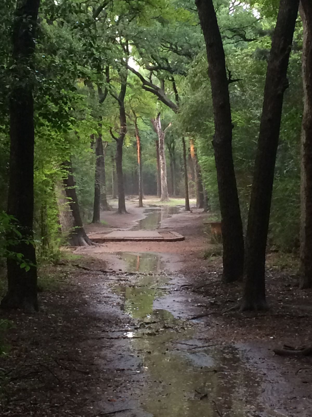 Hole 1. Long tee.