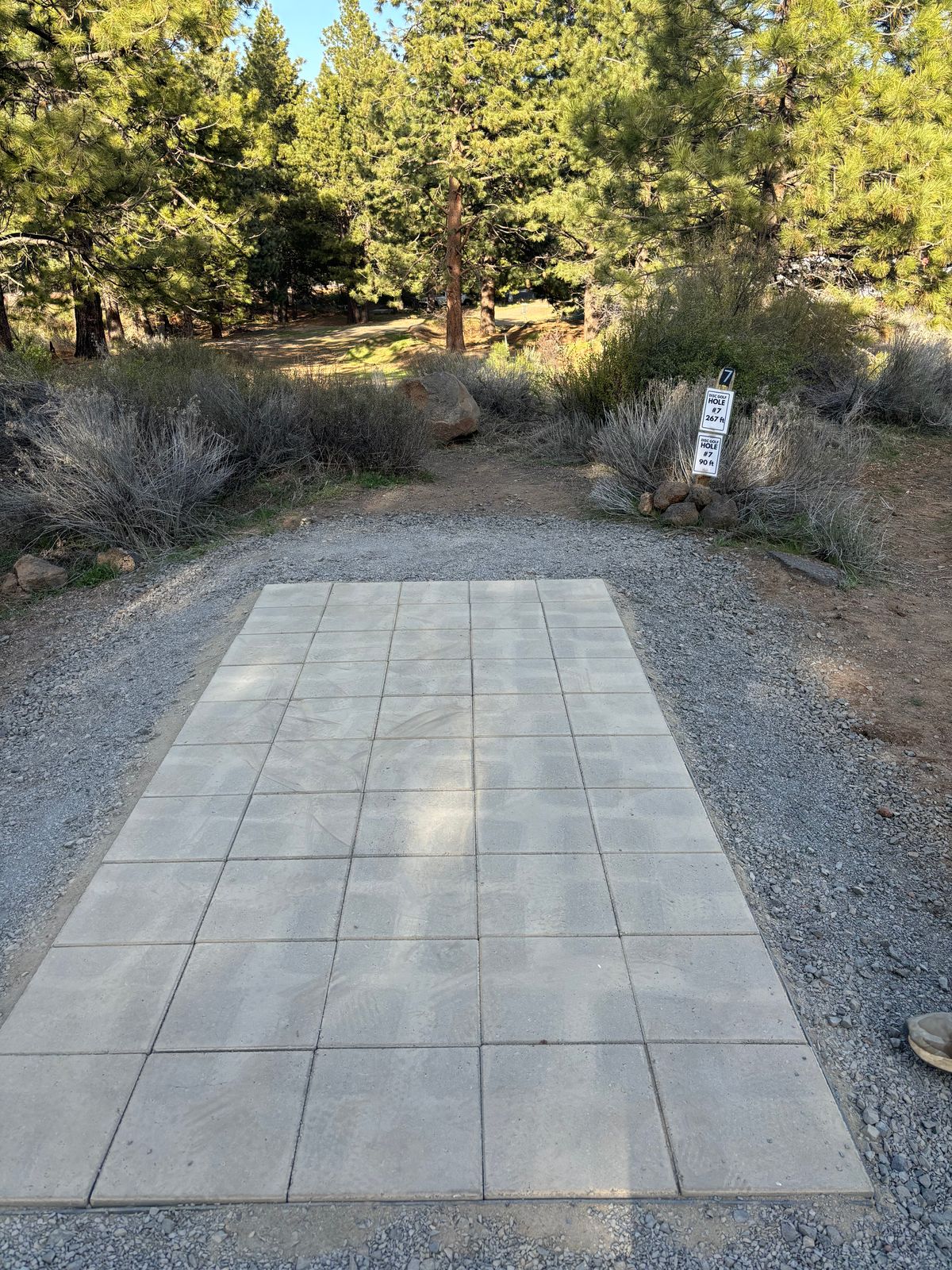 Hole 7 - New Tee Box