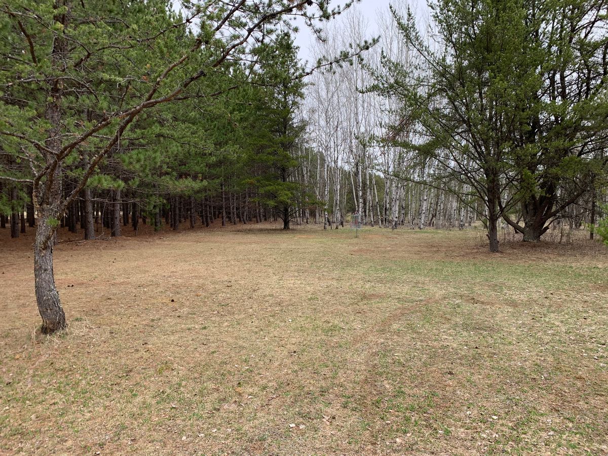 Hole 6 green
