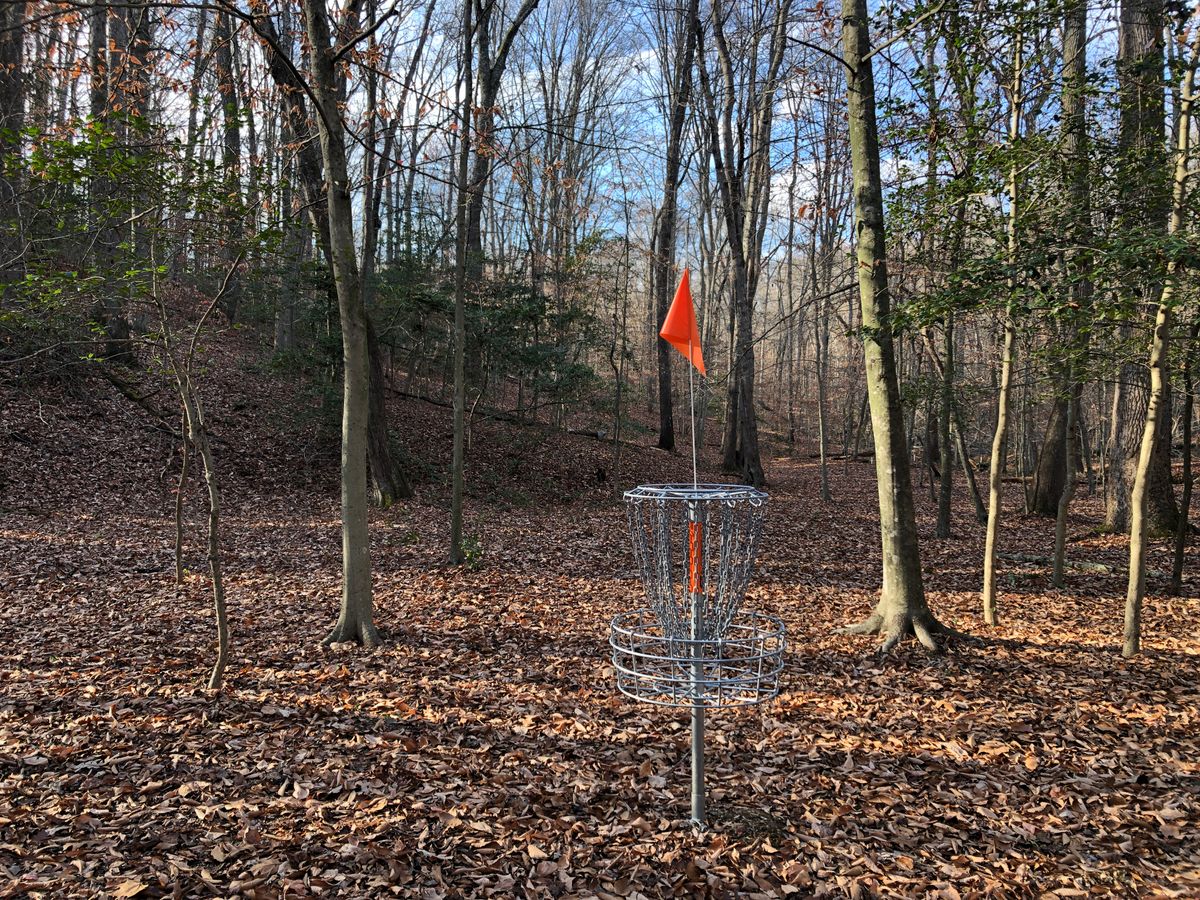 Hole 16 basket (looking back toward fairway and hill coming down from tee)