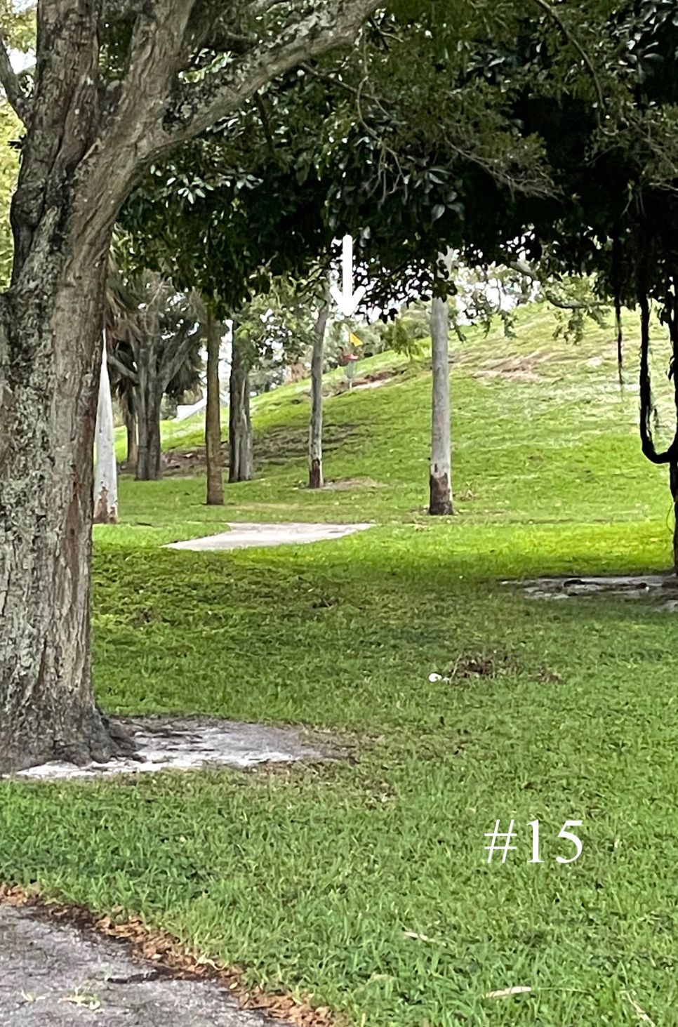 Hole 15, Long Tee