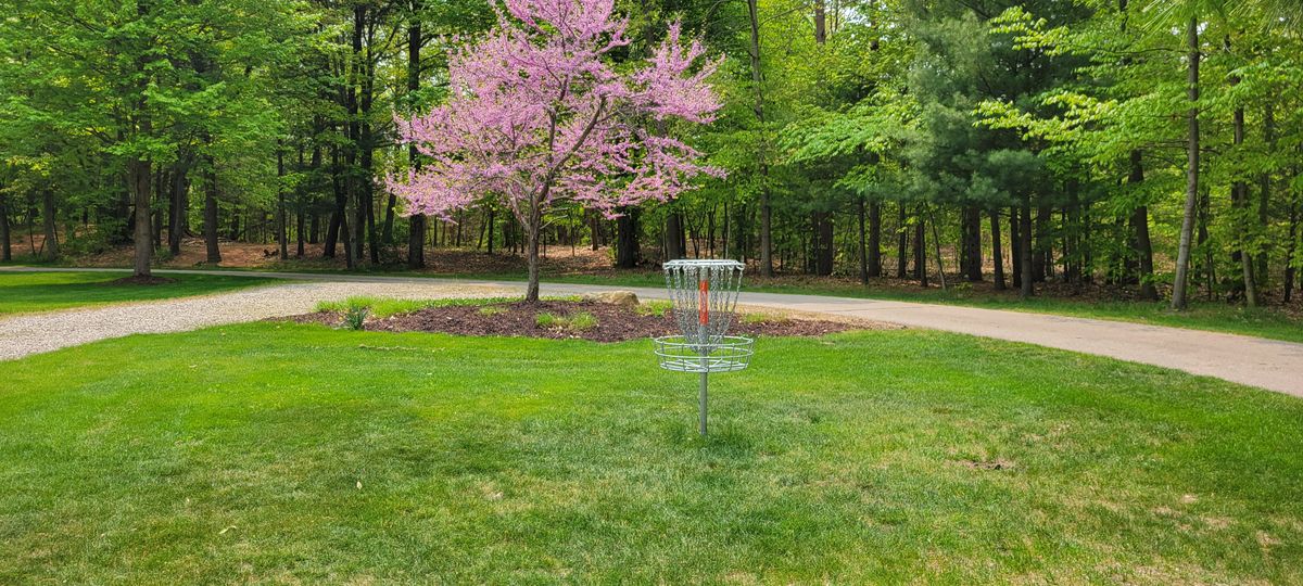 Hole 16 green