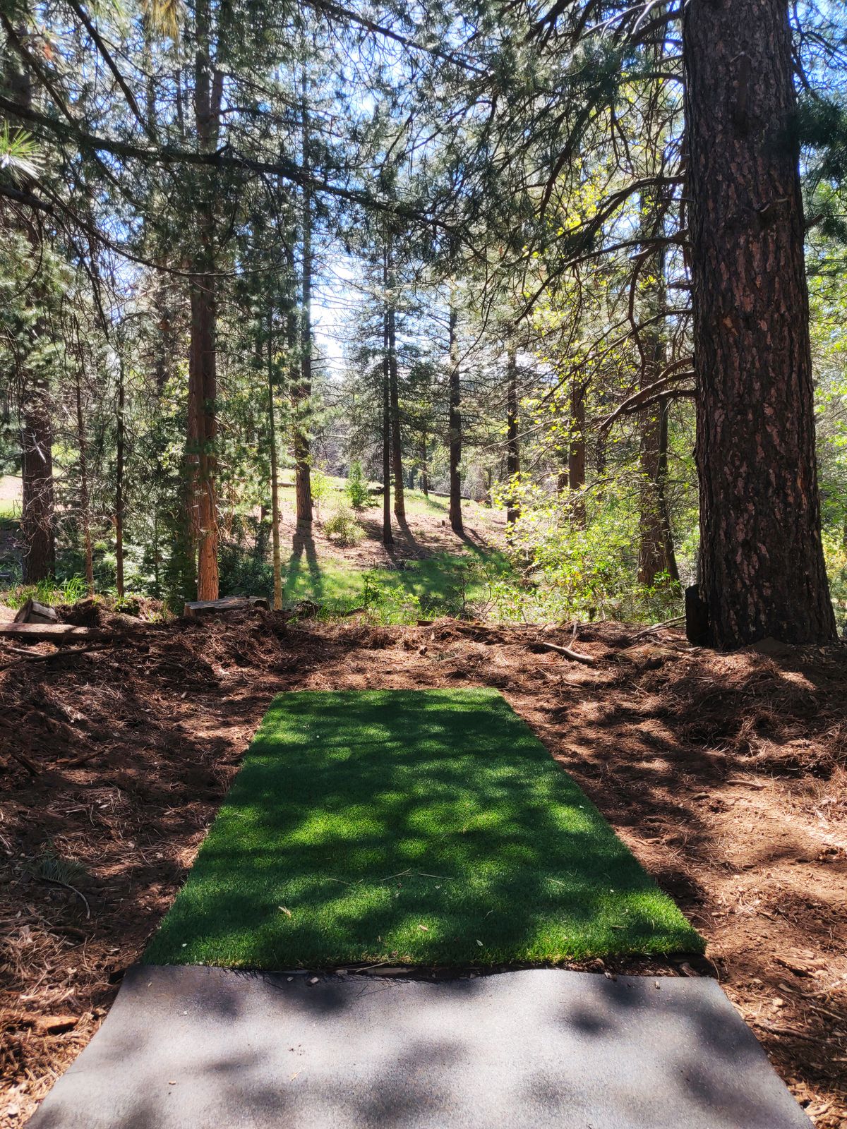 Hole 14