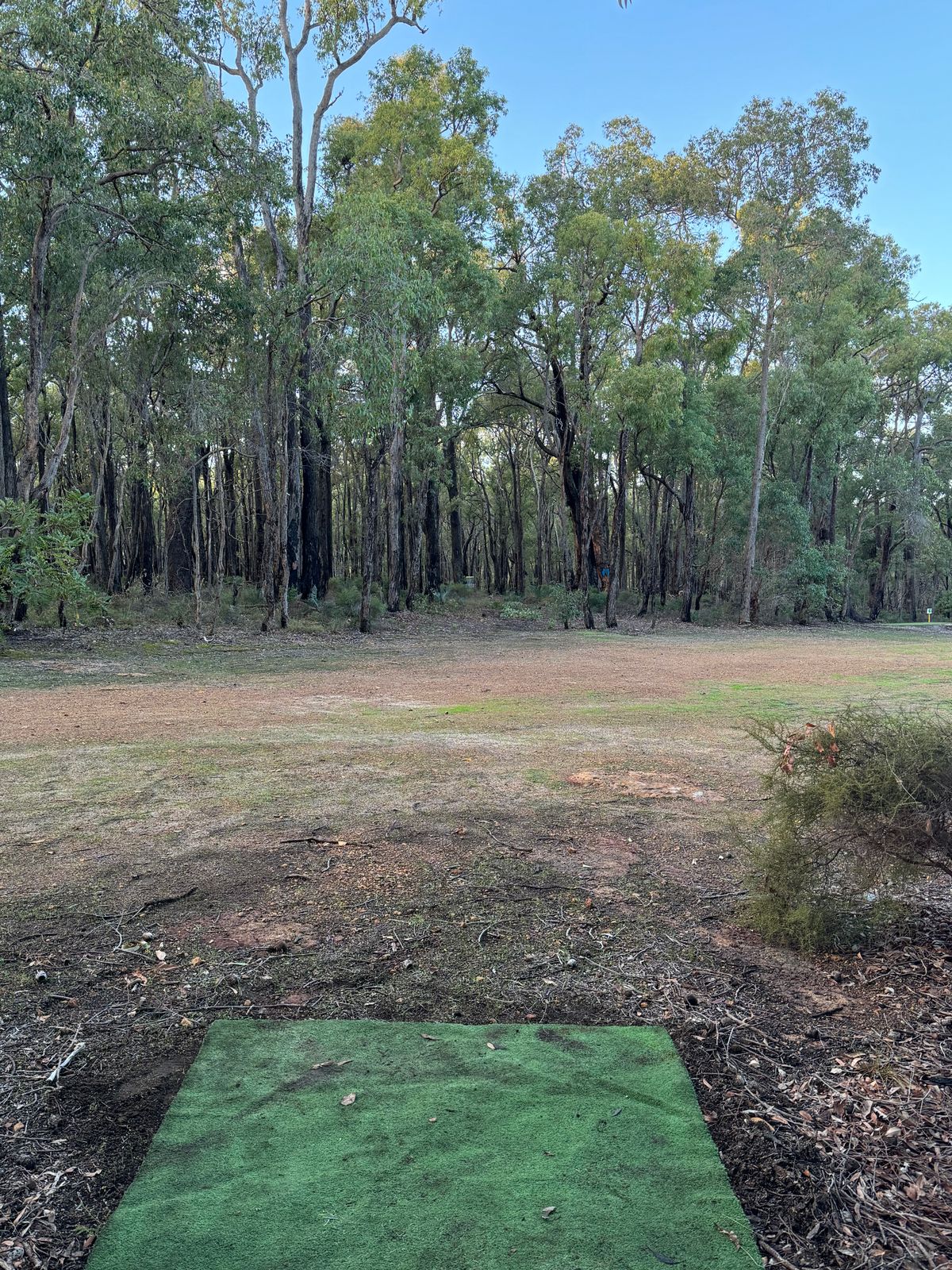 Hole 7 Orange