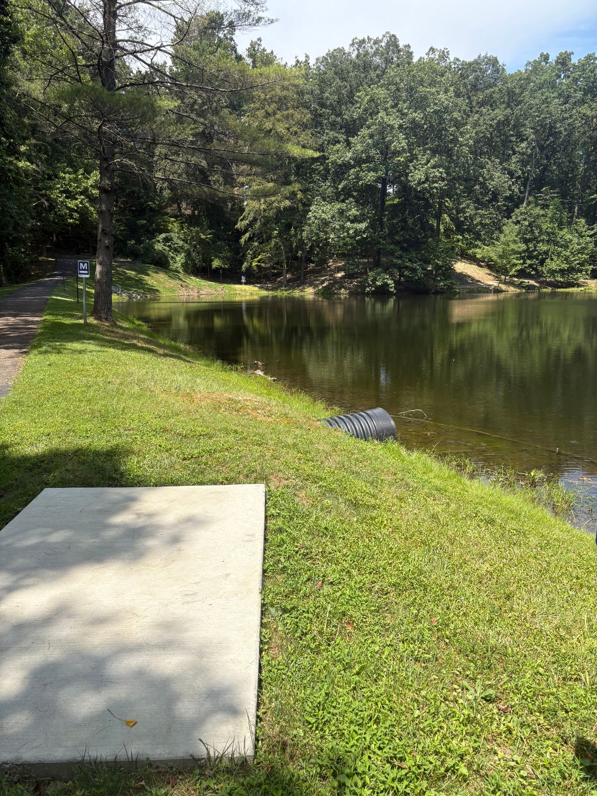 Hole 10 - wasn’t marked, the marker is up on the path a little ways, lost a disc fyi