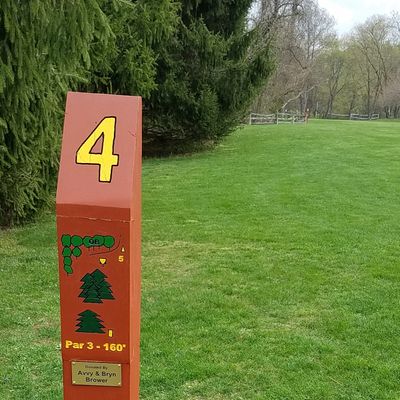 Hole 4 tee