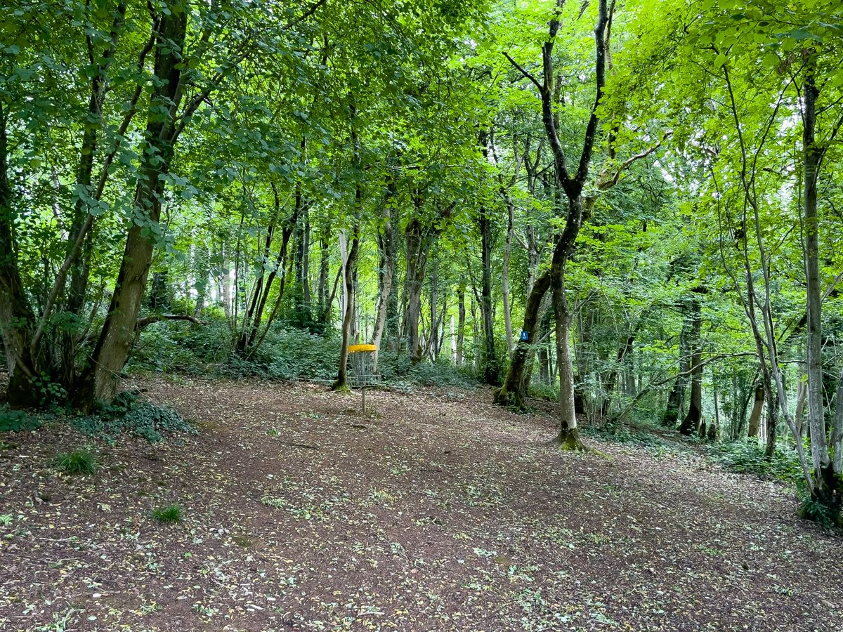 Basket and green on hole 10 (Red / Blue layout)