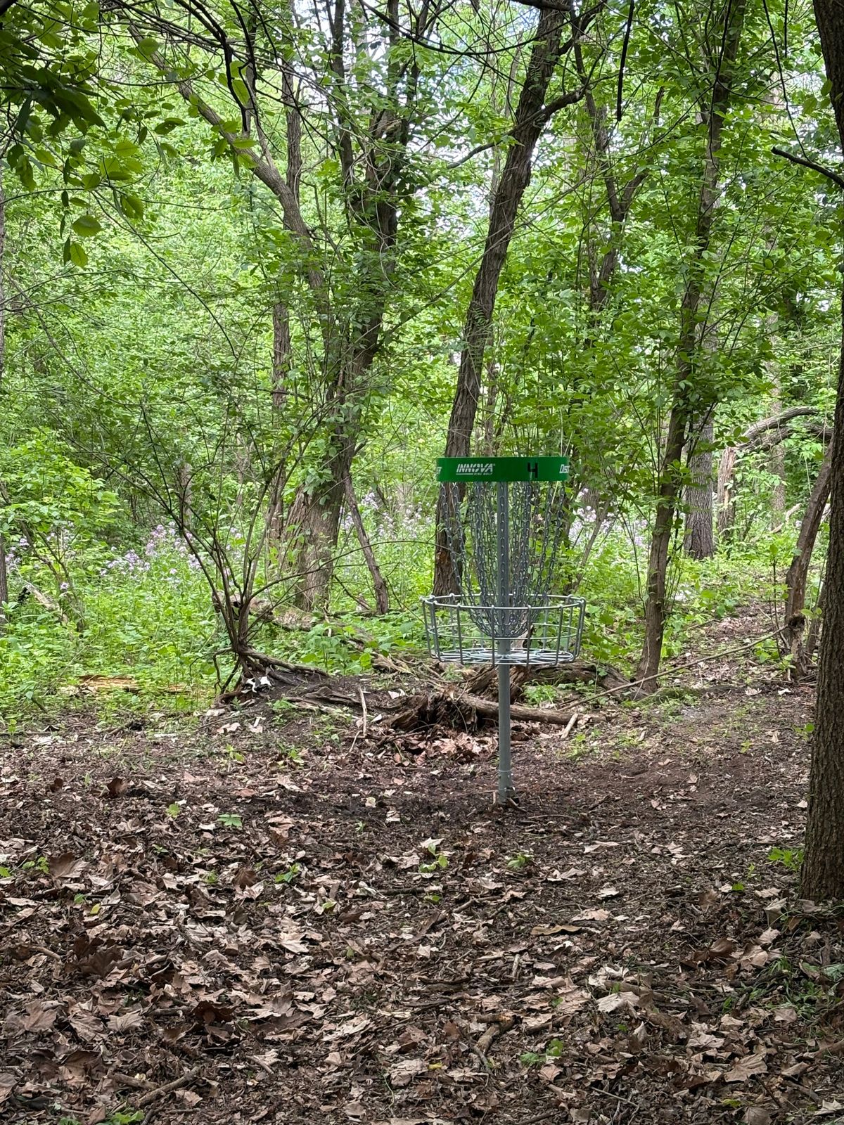 Hole 4
