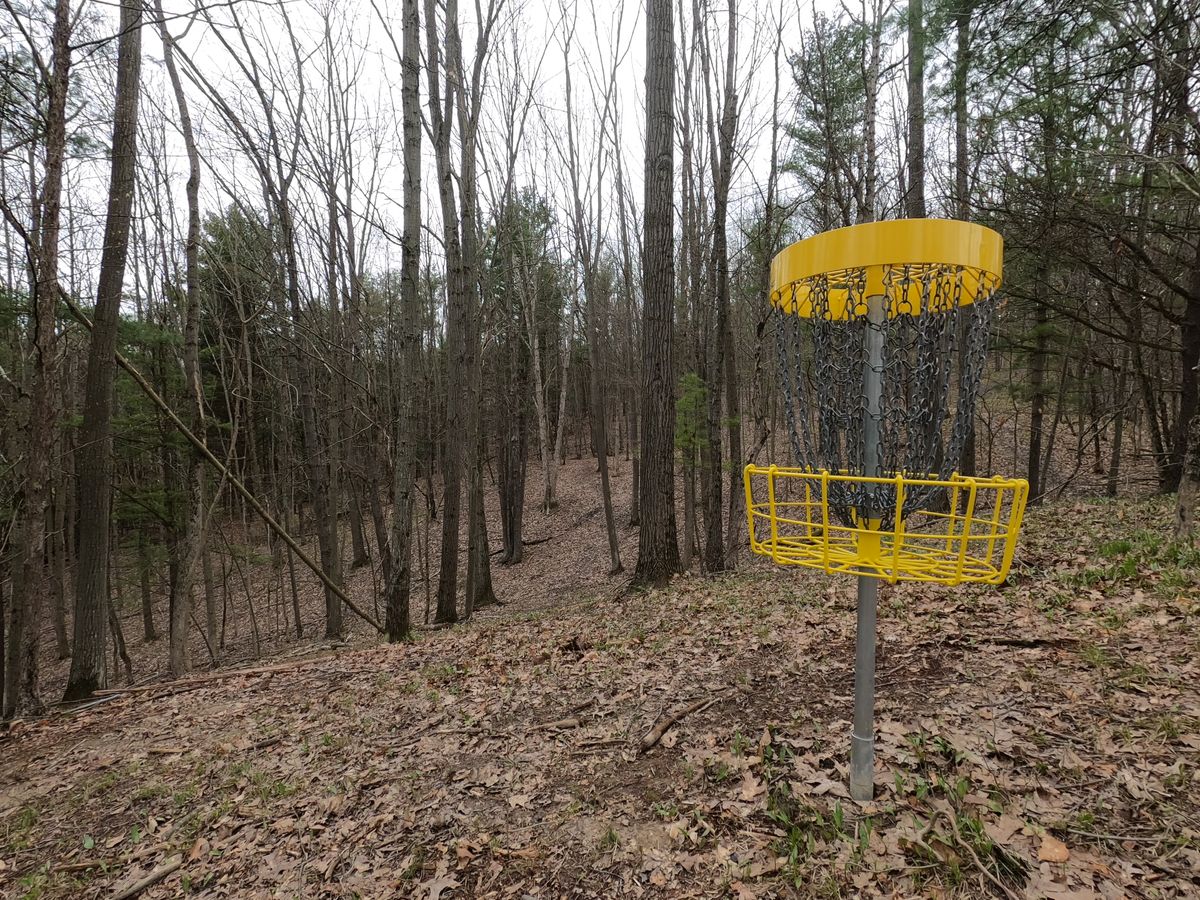 Hole #13 Basket