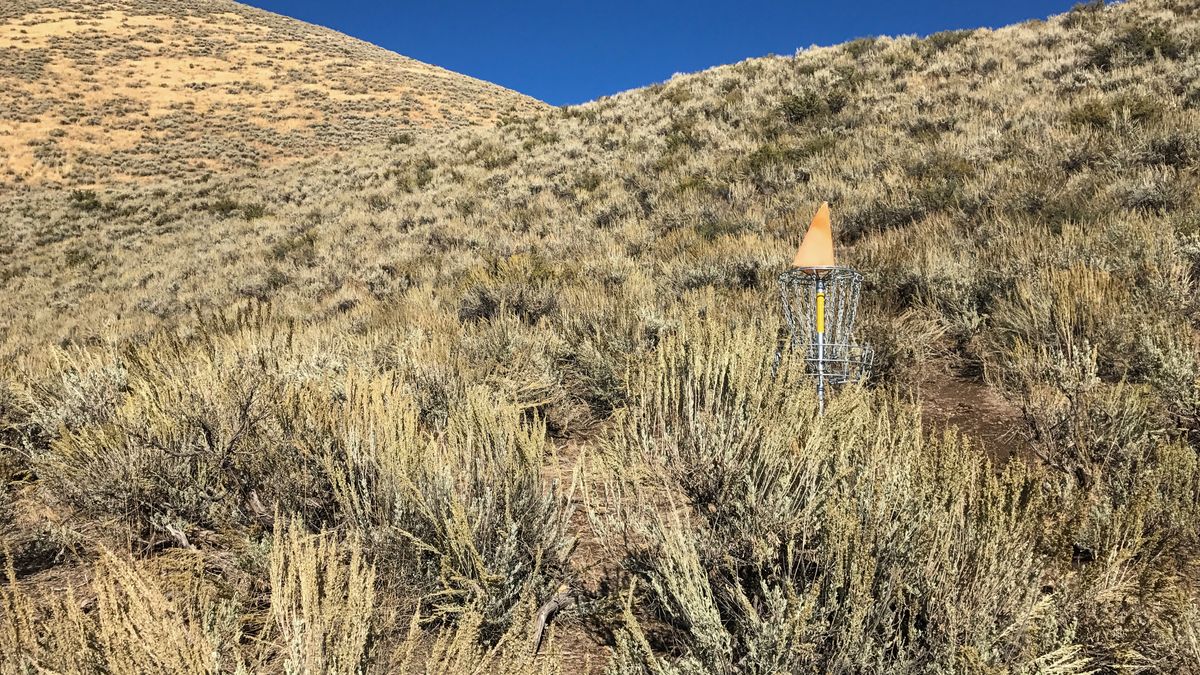 Hole 8