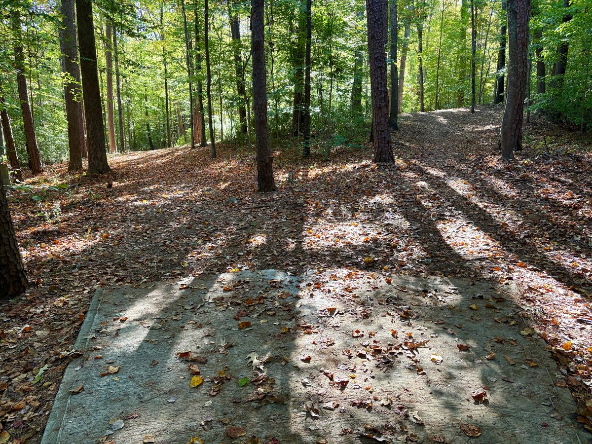 Hole 14 tee
