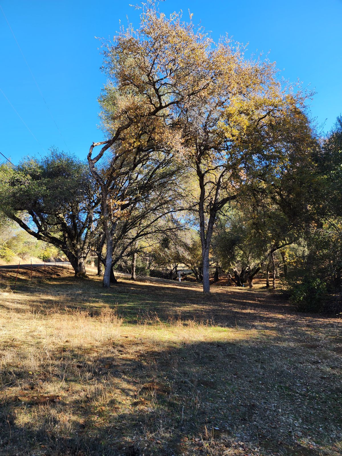 Hole 12 Fairway
