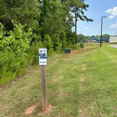Hole 5 tee