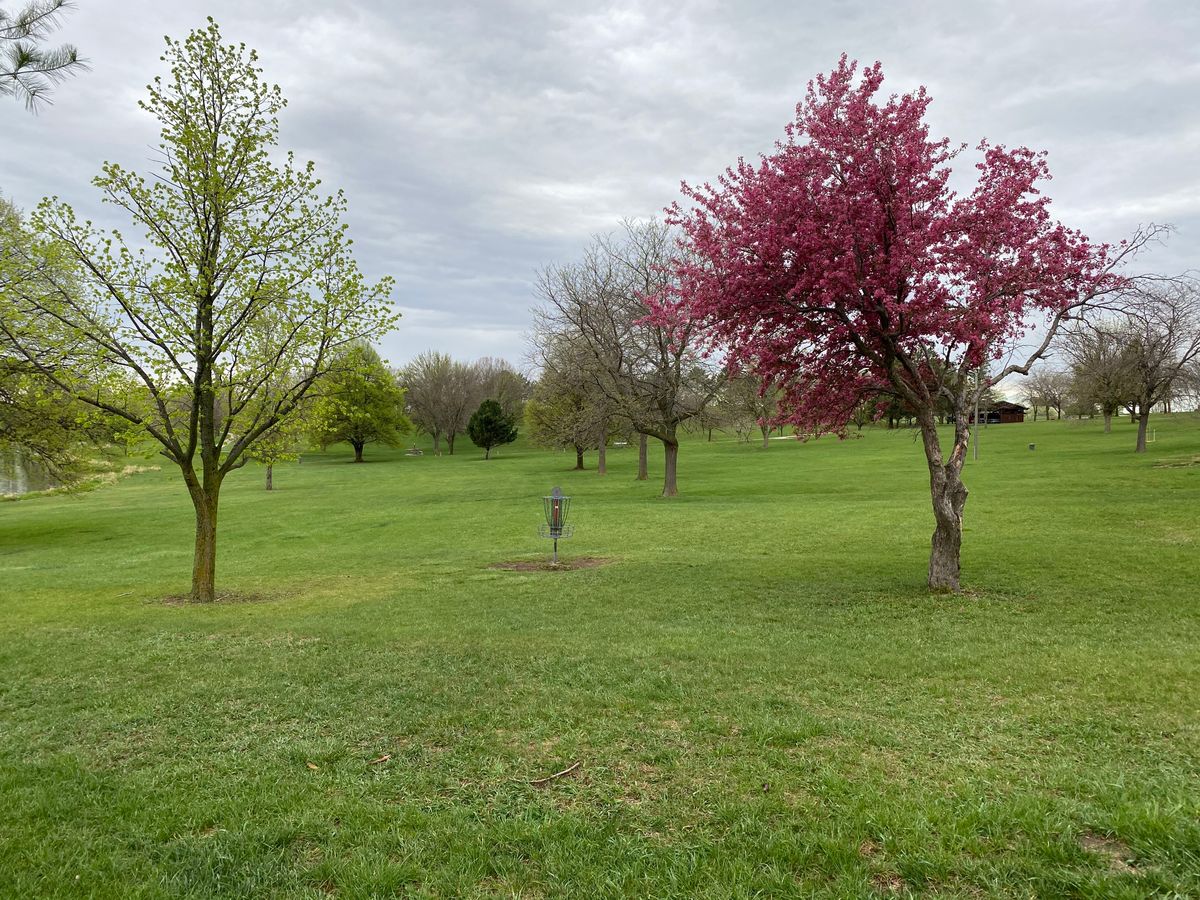 Hole 3 basket 2020