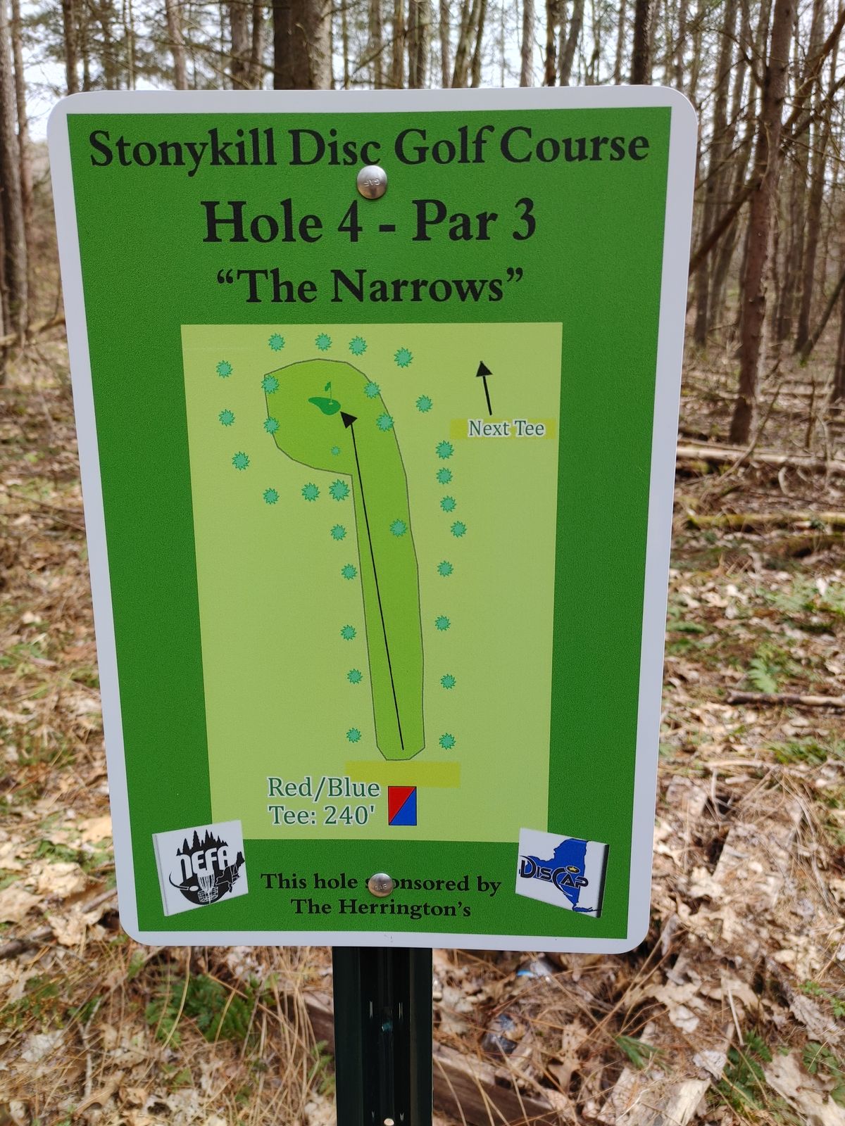 Hole 4 map