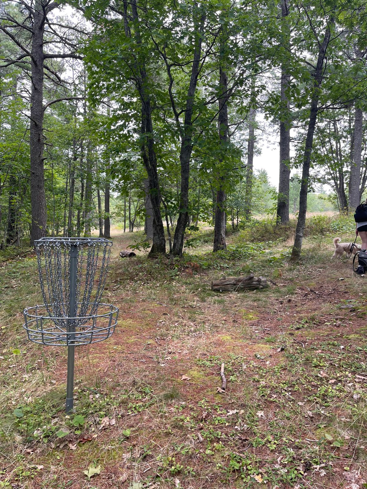 View from 8 green (left gap, right gap)