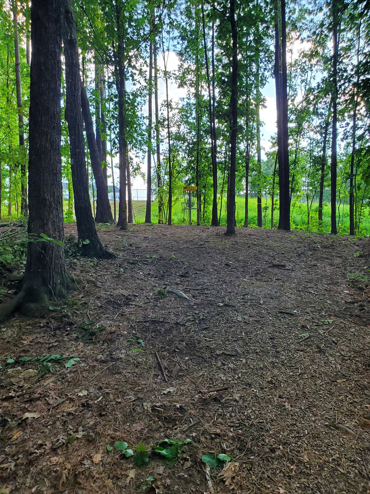 Hole 9 approach