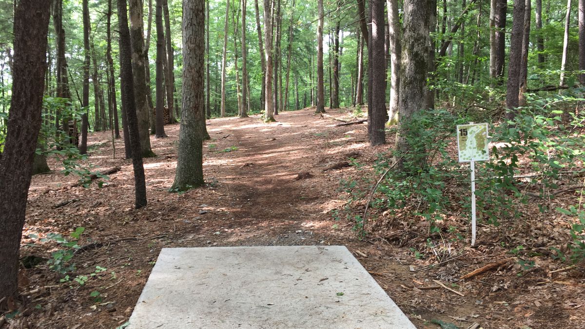 Hole 15