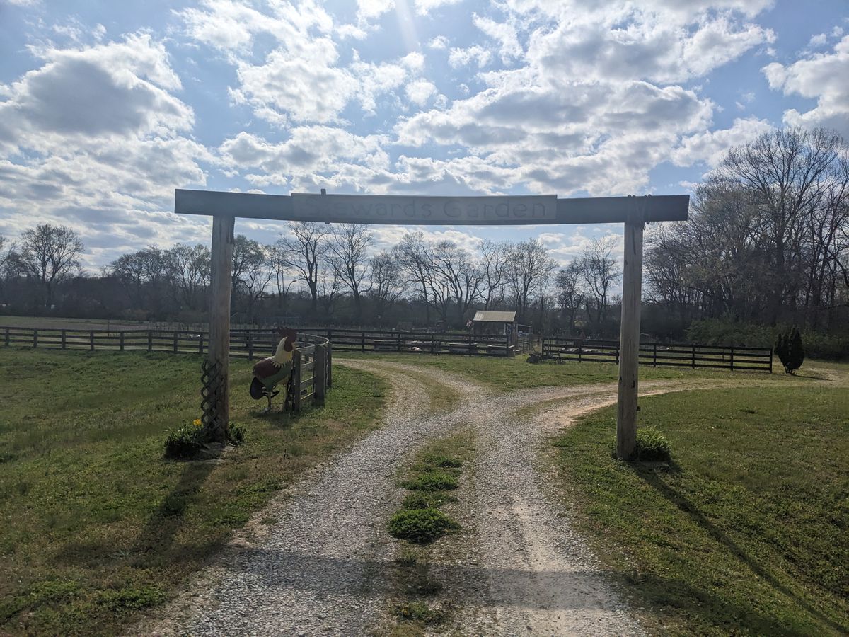 Walking to hole 8
