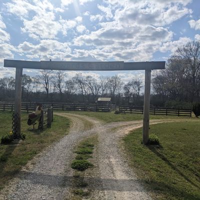 Walking to hole 8