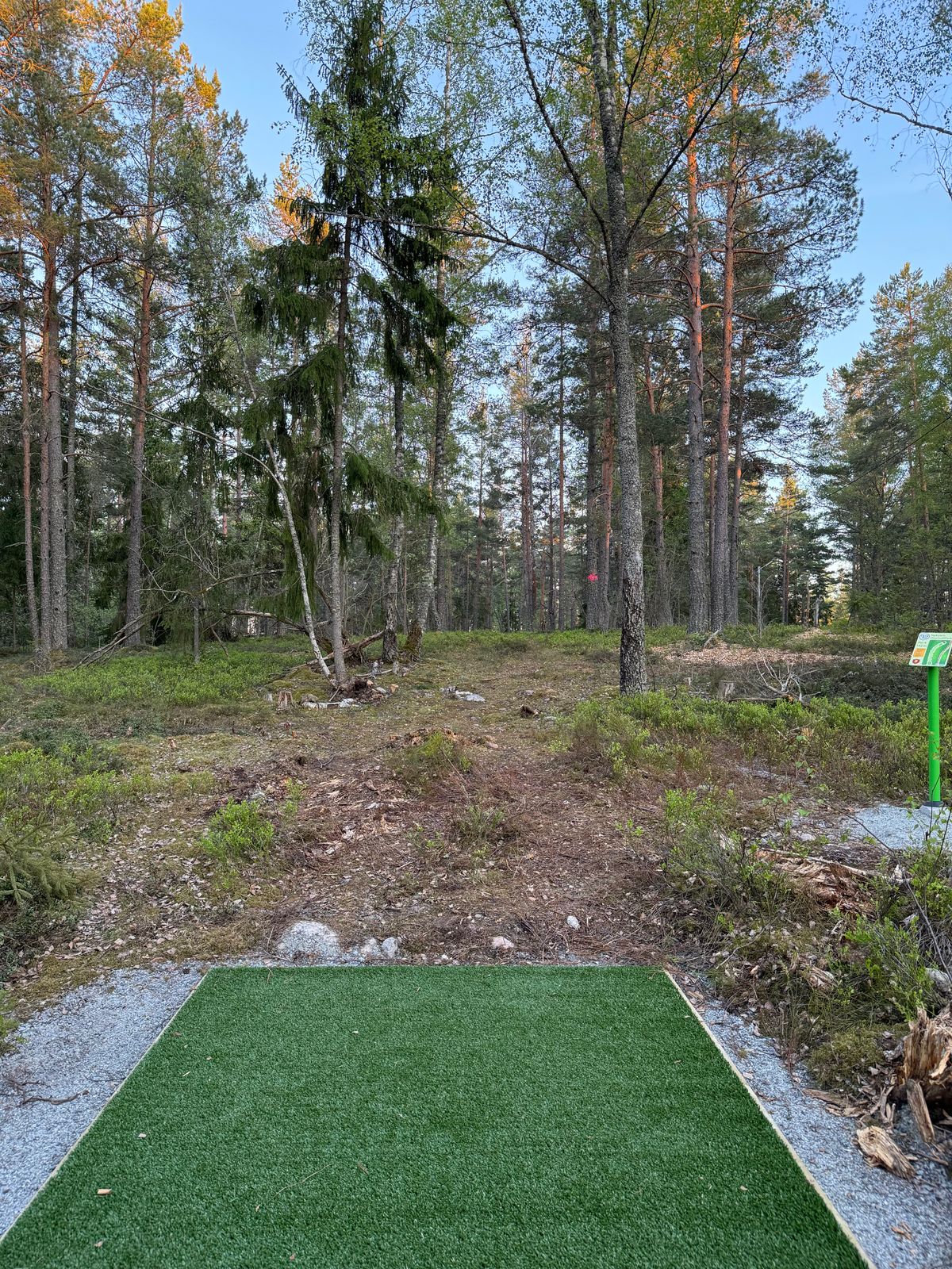 Tee hole 12