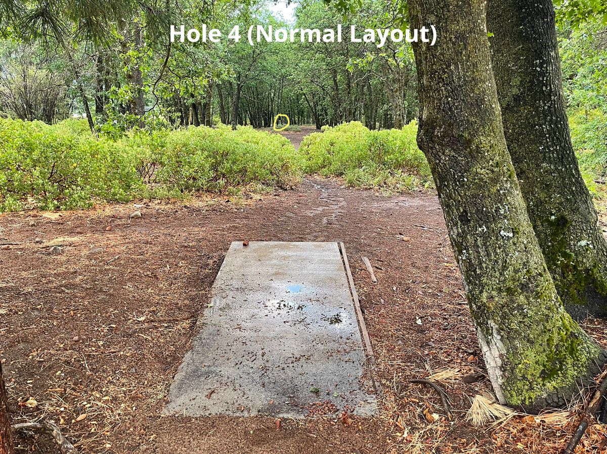 Hole 4