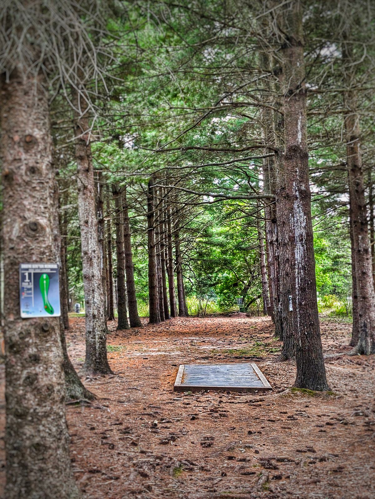 Hole 1 from Longs