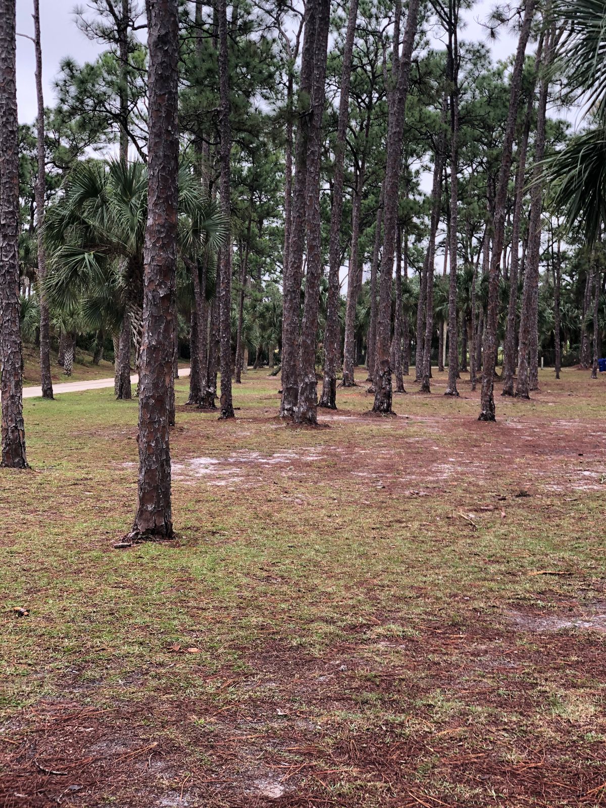 Hole 9