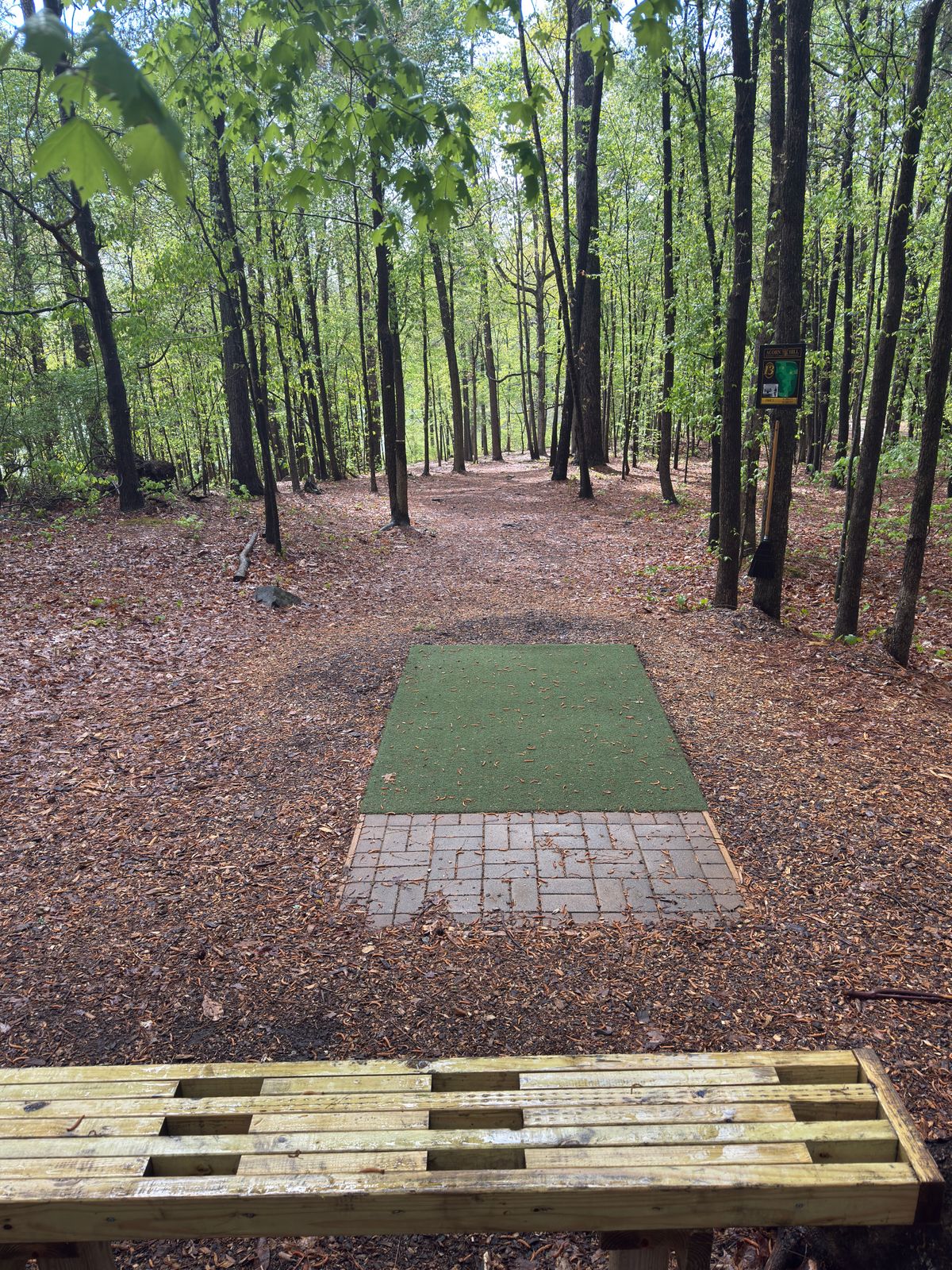 Hole 13