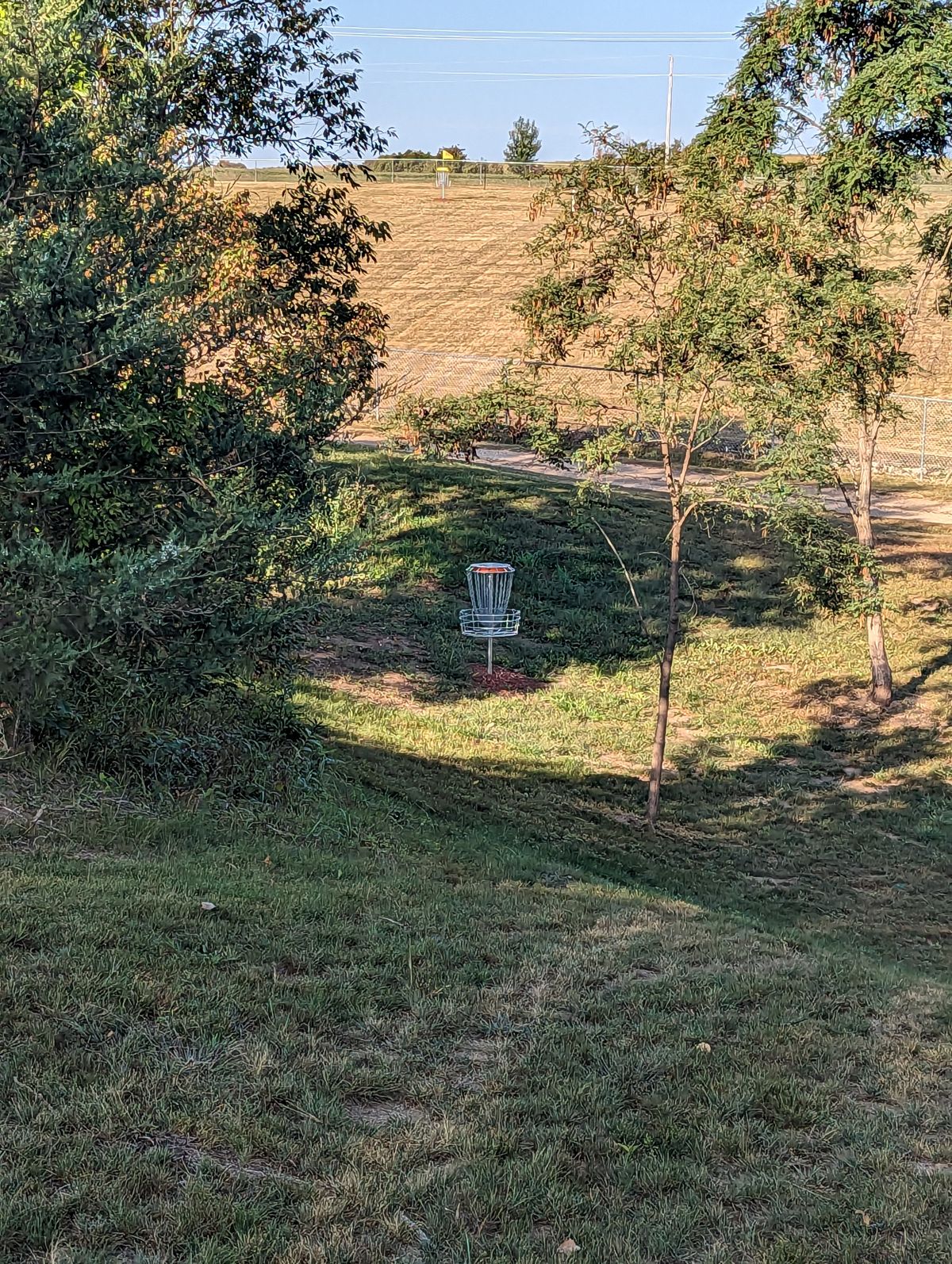 Short Basket