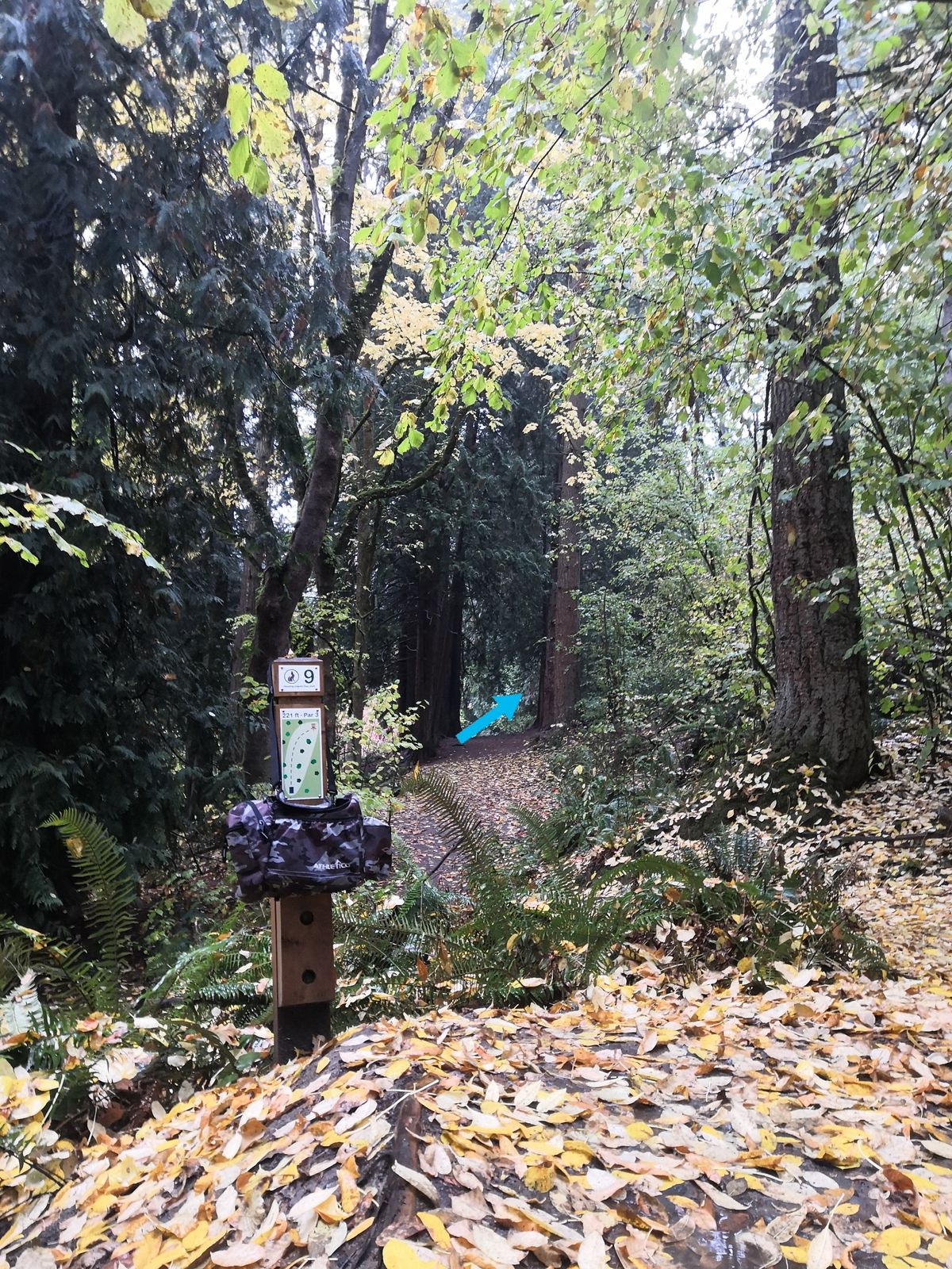 Hole 9, up to the right