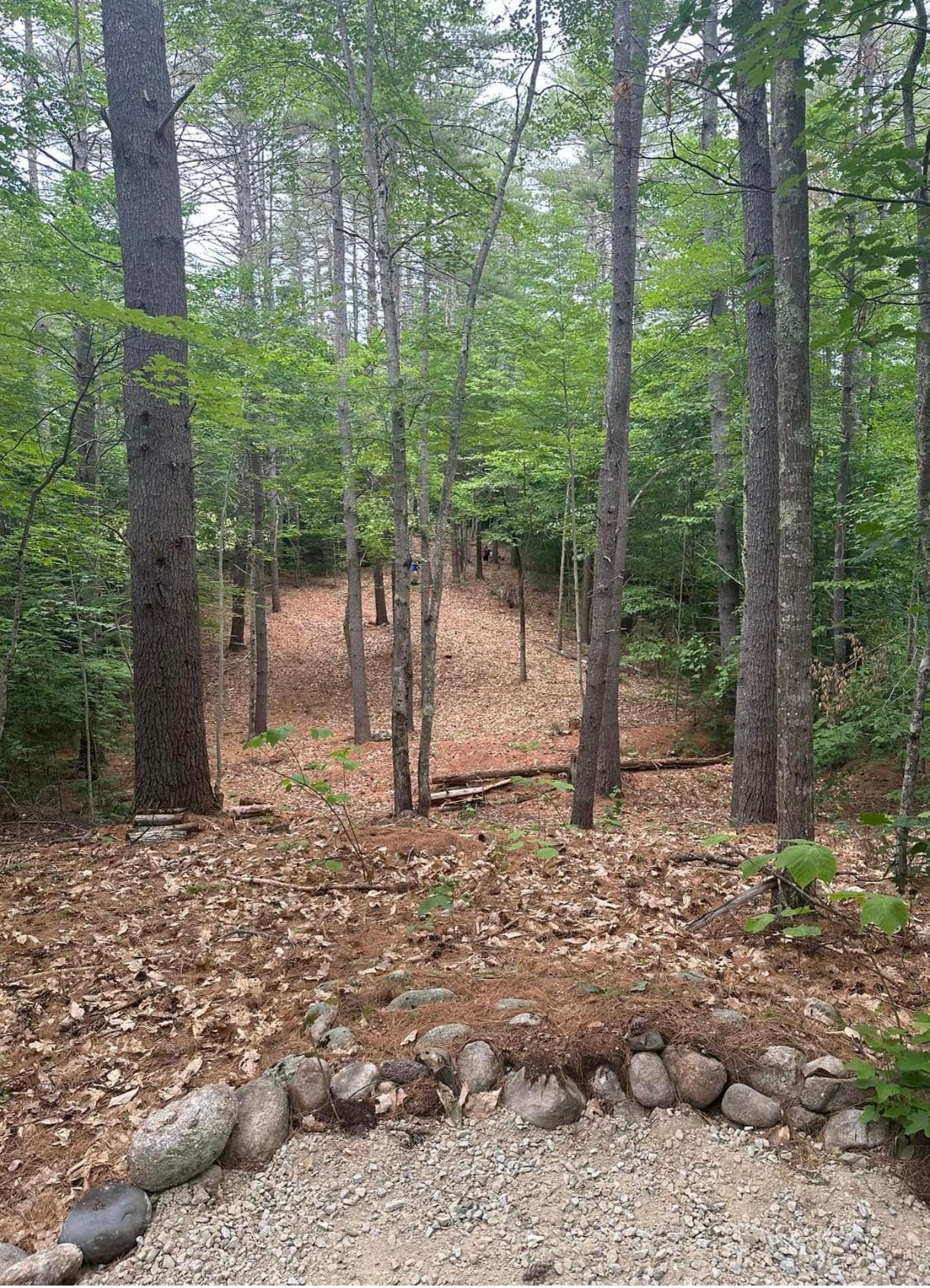 Hole 1 from the tee