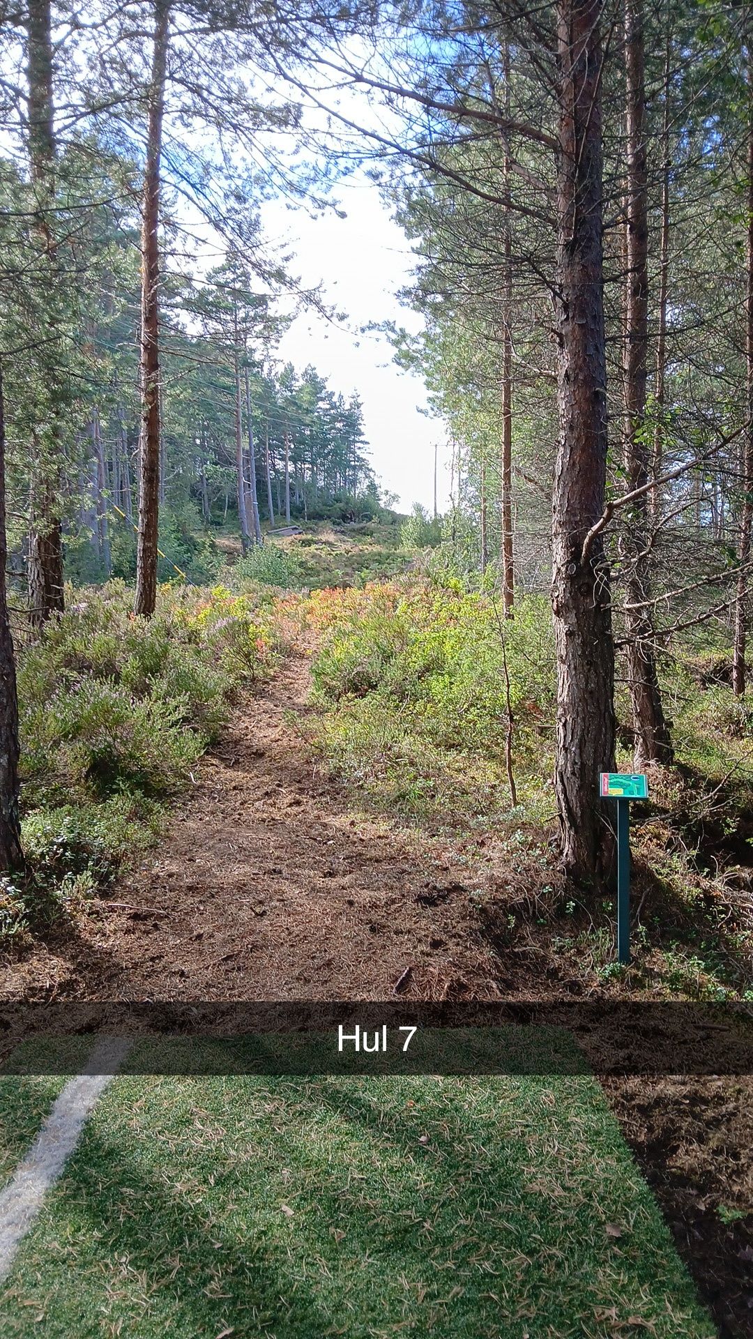 Blå