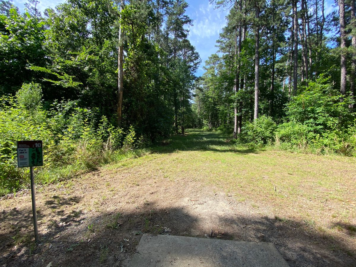 Hole 10