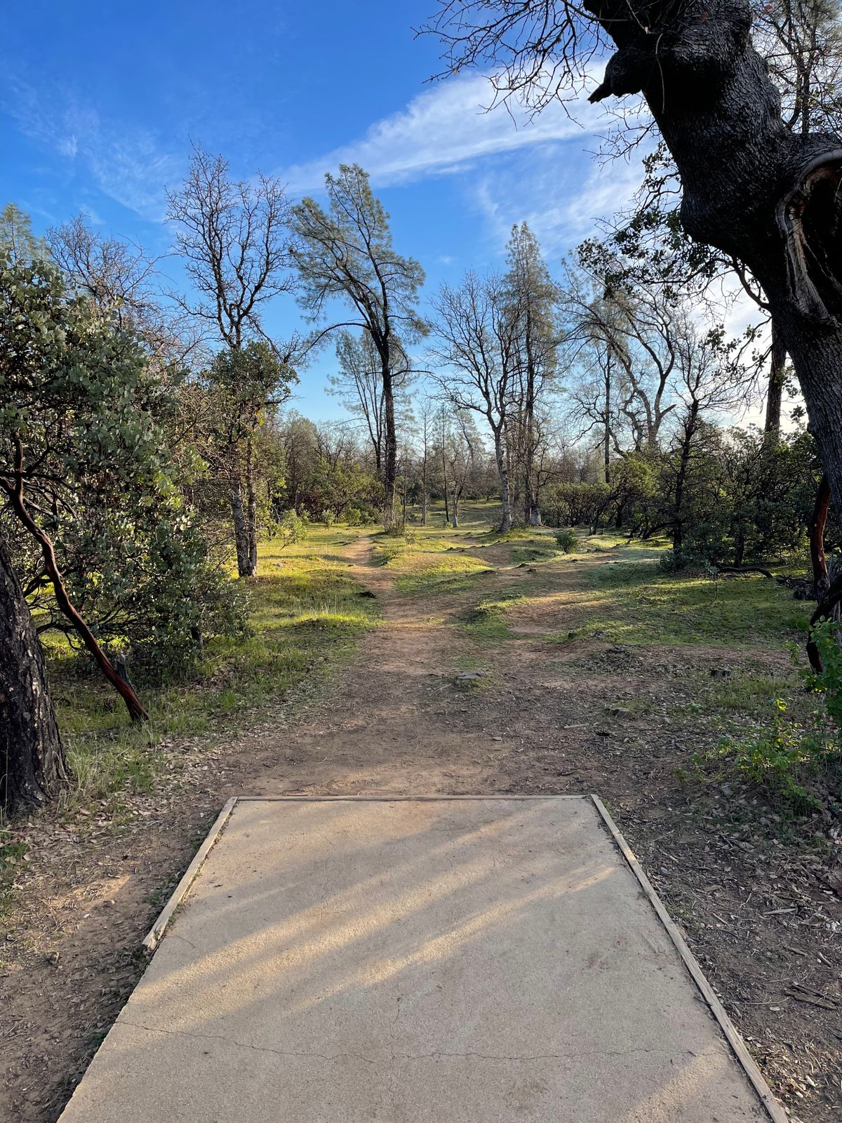 Hole 9
