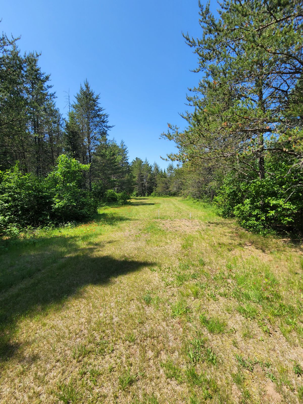 Hole 14 Fairway before dogleg left