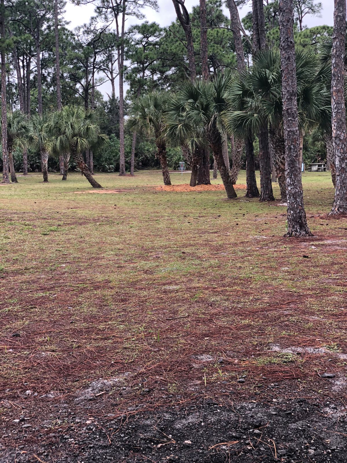 Hole 2