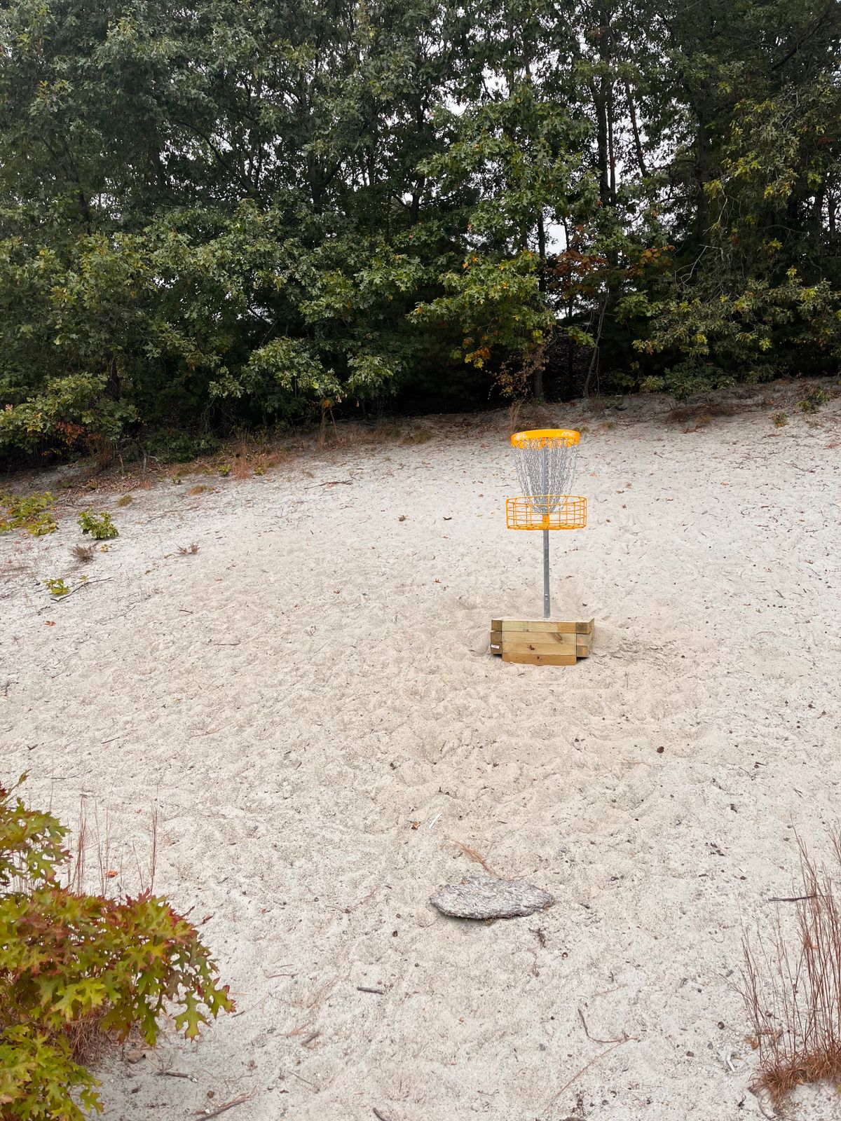 Hole 17 Basket