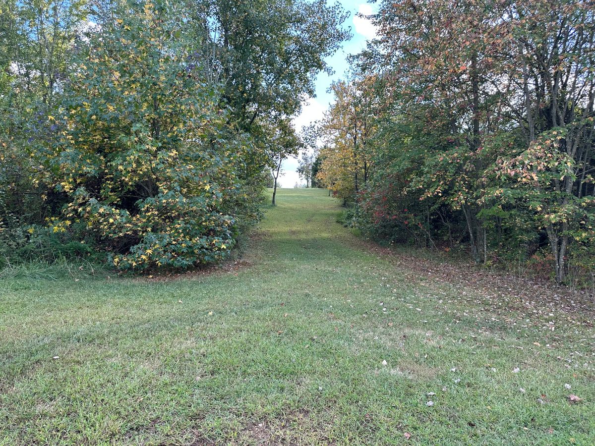 Hole 12 fairway in the fall.