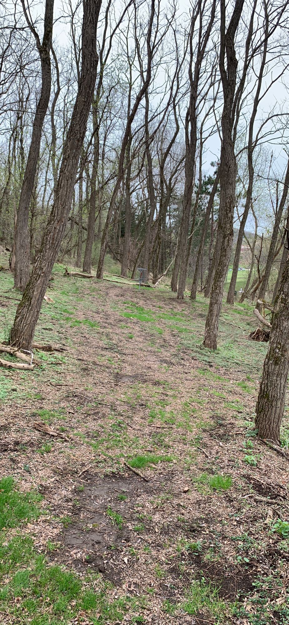 Hole 9 approach