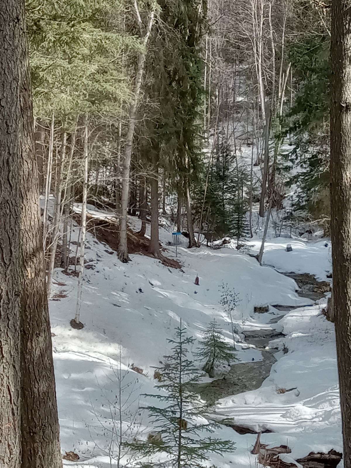 Hole 8 creek and green