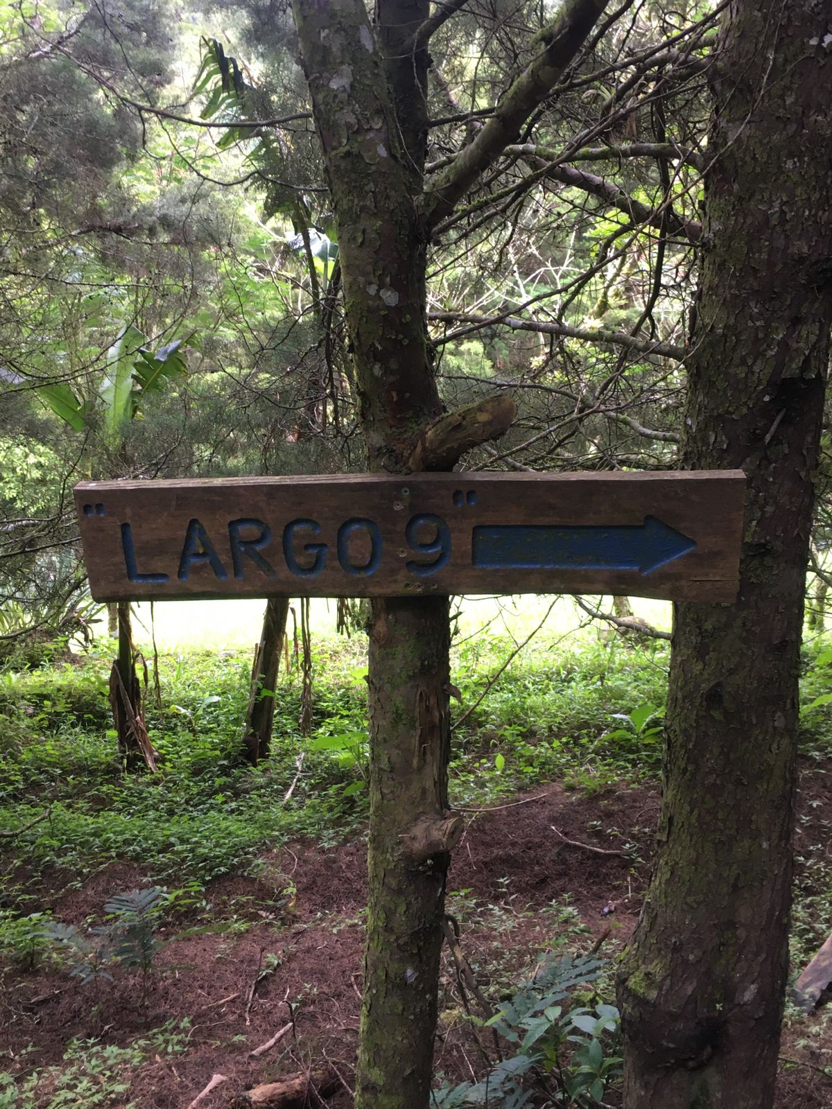Sign for Hole 9