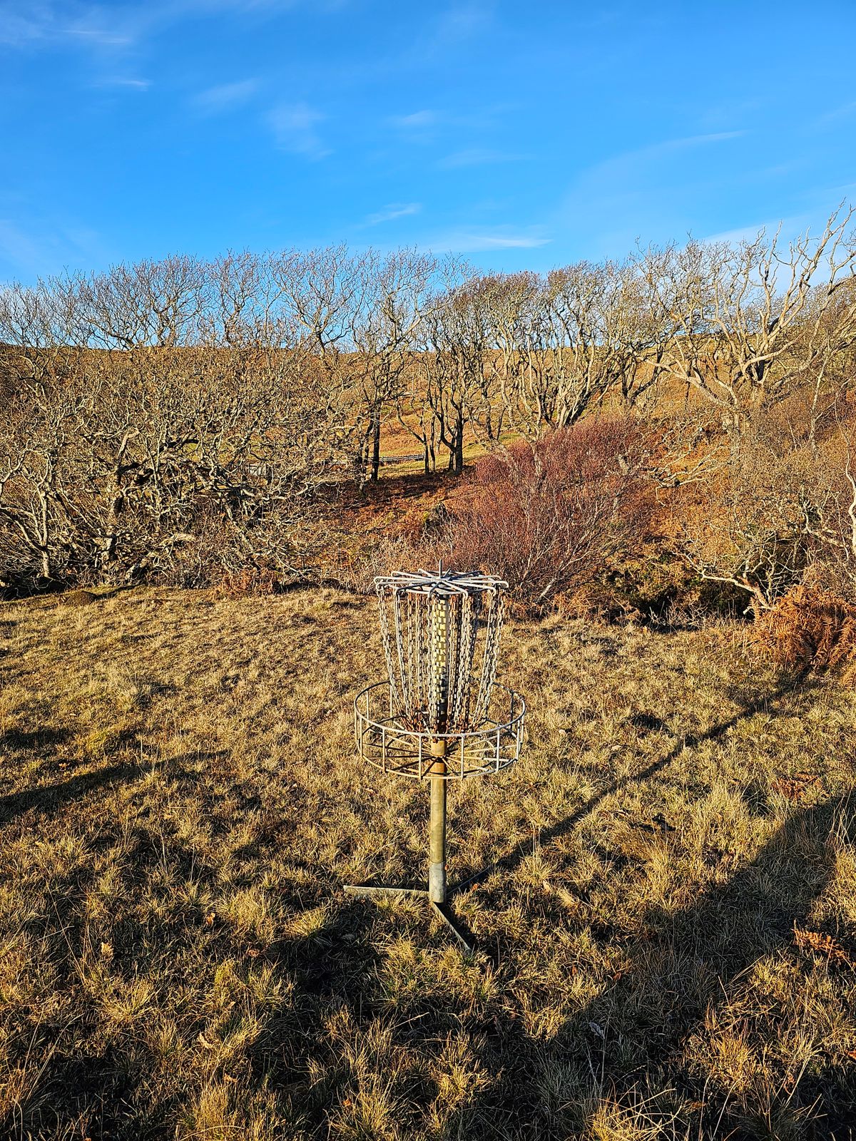 Hole 16 basket looking back towards the tee