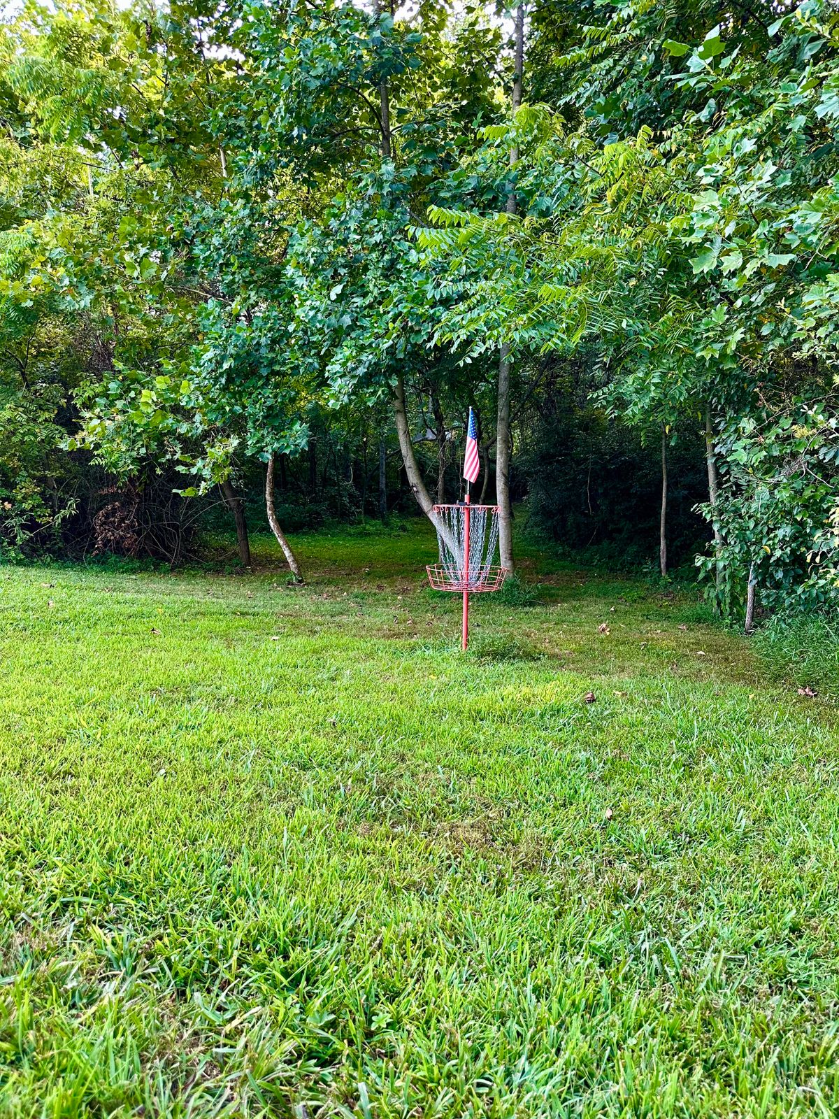 Hole 13 basket looking back towards the tee pad